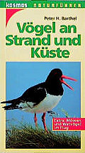 Vögel an Strand und Küste. Extra: Möwen und Watvögel im Flug